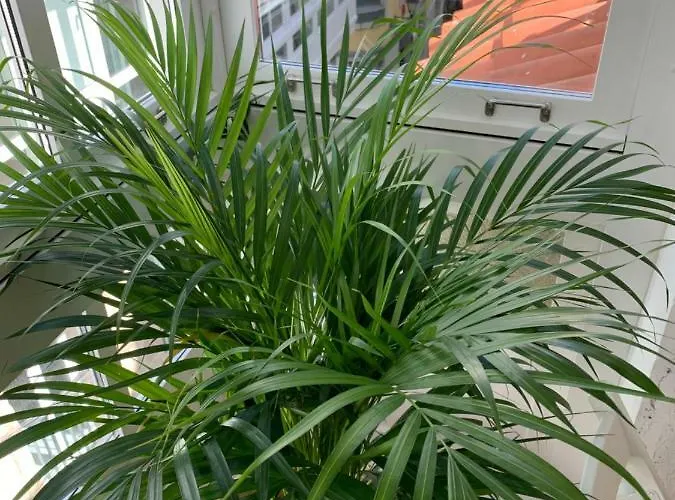 Oktheway Coruna Historic Center Appartement A Coruña